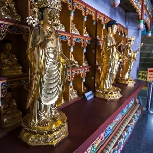 Buddha collection under the Golden Maitreya Statue, Beopjusa Temple Complex, South Korea, Asia