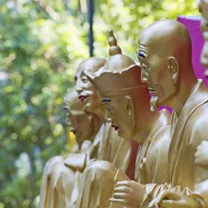 Buddha statues at Ten Thousand Buddhas Monastery, Shatin, New Territories, Hong Kong