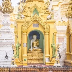 Buddhist monk praying at Shwedagon Pagoda (Shwedagon Zedi Daw) (Golden Pagoda), Yangon (Rangoon)