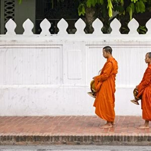 Buddhist novice monks line up to receive alms (Tak Bat) at dawn, Luang Prabang, Louangphabang