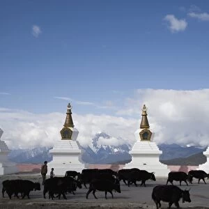 Buddhist stupas at Deqin, near the Tibetan Border, Shangri-La region, Yunnan Province