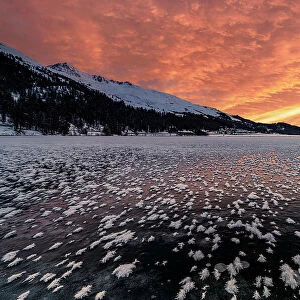 Burning sky at dawn over the frozen Lake Champfer covered with ice flowers in winter, Engadine, Graubunden canton, Switzerland, Europe