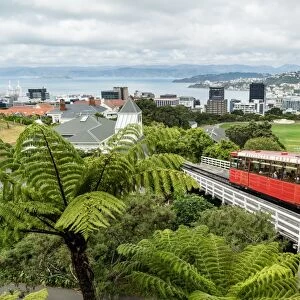A cable car heads up the funicular railway high above Wellington, the capital city