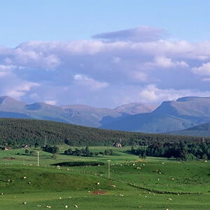 Cairngorm Mountains from the north, Scotland, United Kingdom, Europe