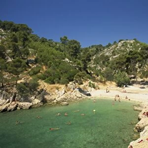 The Calanque de Port-Pin, Cassis, Bouches-du-Rhone, Cote d Azur, Provence