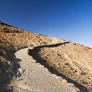Camel, Mount Sinai, Sinai, Egypt, North Africa, Africa