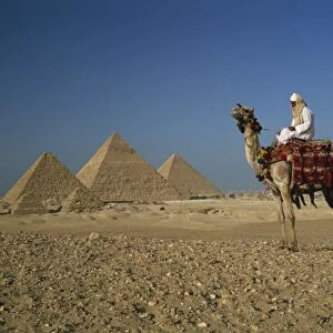 Camel and rider near the Pyramids, UNESCO World Heritage Site, Giza, Cairo