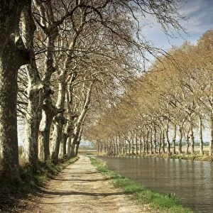 The Canal du Midi, near Capestang, Languedoc Roussillon, France, Europe