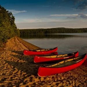 Canoes on the lake shore at sunset, Algonquin National Park, Ontario, Canada, North America