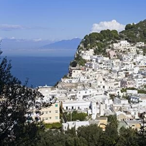 Capri town on Capri Island, Bay of Naples, Campania, Italy, Europe
