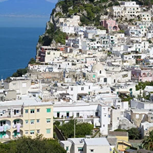 Capri town on Capri Island, Bay of Naples, Campania, Italy, Europe