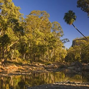 Carnarvon Creek, Carnarvon Gorge, Carnarvon National Park, Queensland, Australia, Pacific