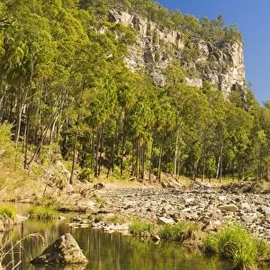 Carnarvon Creek, Carnarvon Gorge, Carnarvon National Park, Queensland, Australia, Pacific