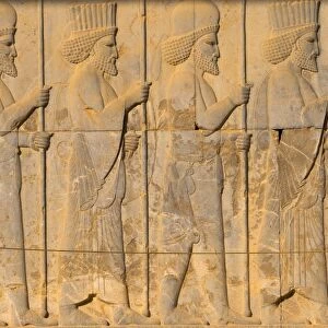 Carved relief of Royal Persian guard, Apadana Palace, Persepolis, UNESCO World Heritage Site