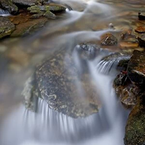 Cascades on Yellow Dog Creek, Coeur d Alene National Forest, Idaho Panhandle National Forests