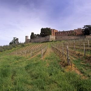 Castello di Brolio and famous vineyards