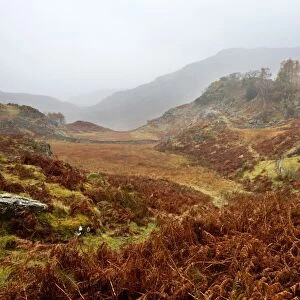 Castle Crag in the mist near Grange, Borrowdale, Lake District National Park, Cumbria, England, United Kingdom, Europe
