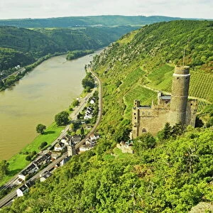 Castle Maus and River Rhine, Rhineland-Palatinate, Germany, Europe