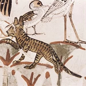Cat climbing papyrus stem in duck hunting scene, Tomb of Menna, 18th dynasty