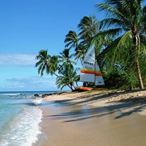 Catamaran on beach, Barbados, West Indies, Caribbean, Central America