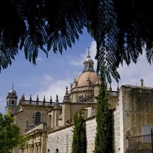 Cathedral, Jerez de la Frontera, Andalucia, Spain, Europe