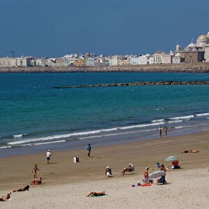 Cathedral waterfront, Cadiz, Andalucia, Spain, Europe