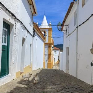 Two cats in a back street in Alegrete, a medieval walled village bordering Spain