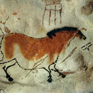 Cave painting, Lascaux, Aquitaine, France