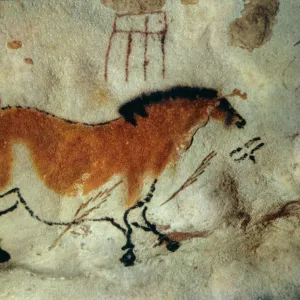 Cave painting, Lascaux, Aquitaine, France