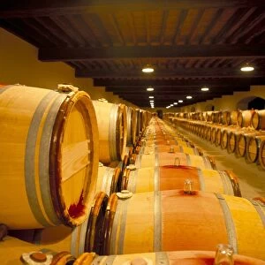 Cellars of Chateau Lynch Bages, Pauillac, Aquitaine, France, Europe