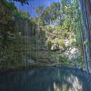 Cenote Ik Kil, near Chichen Itza, Yucatan, Mexico, North America
