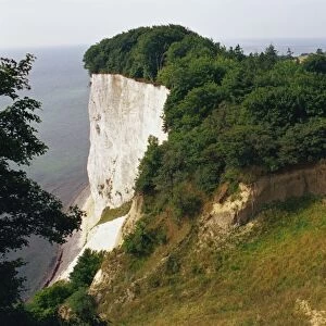 Chalk cliffs, Mons Klint, Mon, Denmark, Scandinavia, Europe