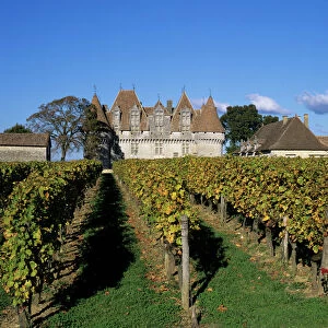 Chateau de Monbazillac and vineyard near Bergerac, Dordogne, Aquitaine, France, Europe