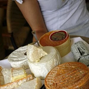 Cheese plate with traditional cheese from Normandy and Brittany, France, Europe