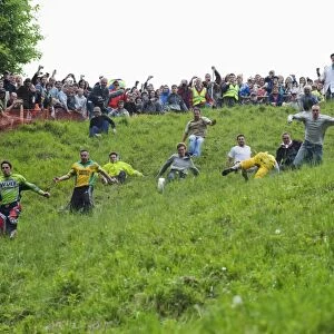 Cheese Rolling Festival at Coopers Hill, Gloucestershire, England, United Kingdom, Europe