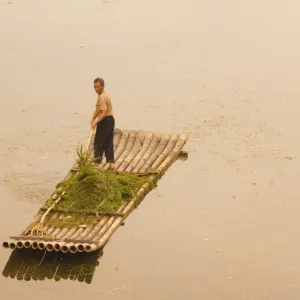 Chinese man gathering seagrass on Li Jiang River, Guangxi Province, China, Asia