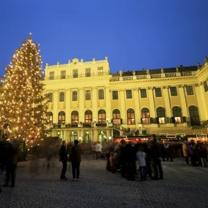 Christmas tree in front of Schonbrunn Palace at dusk, UNESCO World Heritage Site