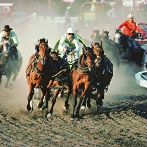 Chuck Wagon Race, Calgary Stampede, Alberta, Canada