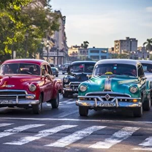 Classic 1950s American cars, Paseo di Marti, La Habana Vieja (Old Havana), Havana