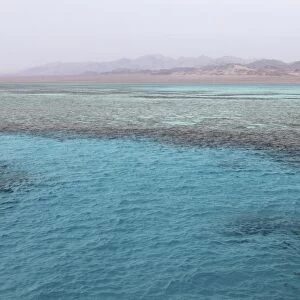Clear Red Sea waters, Ras Mohammed National Park, Sinai South, Egypt, North Africa