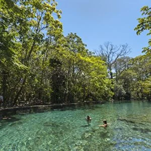 Clear spring waters of La Presa Ojo de Aqua pool near Santa Domingo on the east coast, Omotepe Island, Lake Nicaragua, Nicaragua, Central America