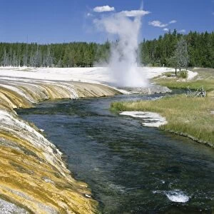 Cliff Geyser erupts from geyserite bank on edge of