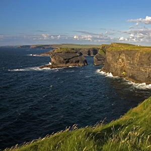 Cliffs near Kilkee, Loop Head, County Clare, Munster, Republic of Ireland, Europe