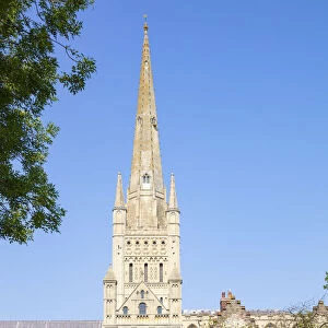 The Close, Norwich Cathedral and spire from the Cathedral Close, Norwich, Norfolk, East Anglia, England, United Kingdom, Europe