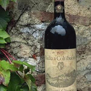 Close-up of a bottle of Badia a Coltibuono wine