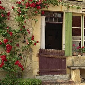 Close-up of the exterior of a house with green shutters, pot plants and red roses beside the door