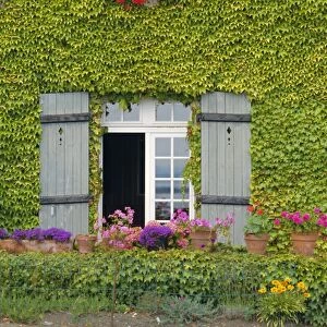 Close-up of house at St. Servan-sur-Mer, near St. Malo, Brittany, France, Europe