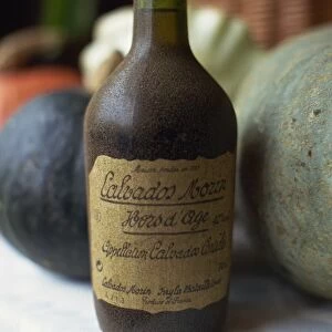 Close-up of an old bottle of Calvados from Normandy, France, Europe