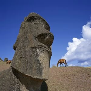 Close-up of Rano Rarakay, stone head carved from crater, Moai stone statues