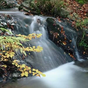 Close-up of stream cascading over rocks in autumn in Scotland, United Kingdom, Europe